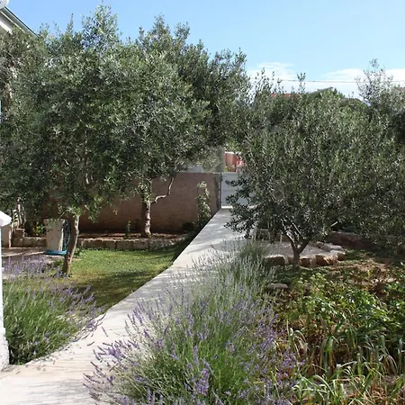 Apartments With A Parking Space Maslenica, Novigrad - 6548 Apartment Jasenice (Zadar)